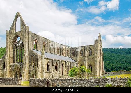 Die Sonne scheint auf der Tintern Abbey im wunderschönen Wye Valley in Monmouthshire, East Wales Stockfoto