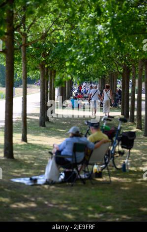 Norderstedt, Deutschland. 26.. Juni 2022. Im Stadtpark sitzen zahlreiche Ausflügler unter Bäumen. Quelle: Jonas Walzberg/dpa/Alamy Live News Stockfoto