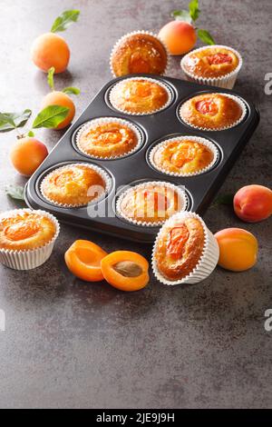 Frisch gebackene Sommer-Muffins mit frischen Aprikosen aus der Nähe in einer Muffin-Pfanne auf dem Tisch. Vertikal Stockfoto