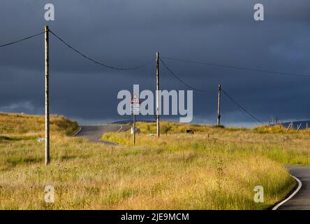 Ein zweisprachiges englisches und walisisches Straßenschild und Versorgungs- oder Telegraphenmasten auf dem Berg Gwrhyd im Swansea Valley, South Wales, Großbritannien Stockfoto