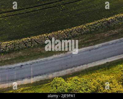 autobahn neben einem Roggenfeld. Von oben nach unten. Luftaufnahme Stockfoto