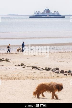 Am 21. Juni 2022 in Wyk, Foehr Island, Deutschland. © Peter Schatz / Alamy Stock Photos Stockfoto