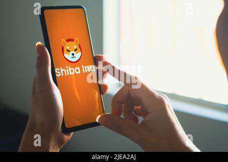 In dieser Abbildung hält eine Frau ein Smartphone mit dem Shiba Inu (SHIB)-Logo auf dem Bildschirm. Stockfoto