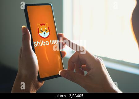 Brasilien. 22.. Juni 2022. In dieser Abbildung hält eine Frau ein Smartphone mit dem Shiba Inu (SHIB)-Logo auf dem Bildschirm. (Bild: © Rafael Henrique/SOPA Images via ZUMA Press Wire) Stockfoto