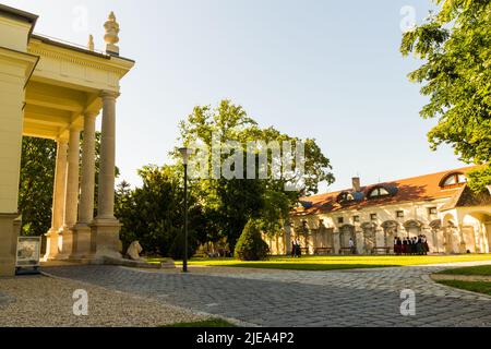 Chor in traditioneller Tracht üben für Soproni Korus Unnep (Chorfestival) im Garten der Lenck-Villa, Sopron, Ungarn Stockfoto