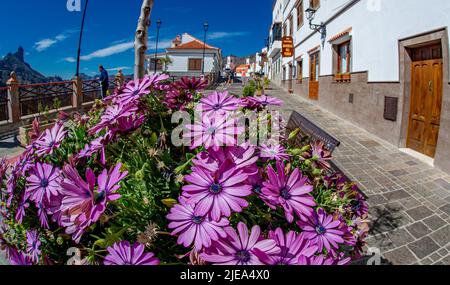 15 Februar 2022 Tejeda Gran Kanarischen Bergstadt mit charmanten Straßen mit Blumen in allen Farben gelb, lila und orange und ein Panorama mit volc Stockfoto