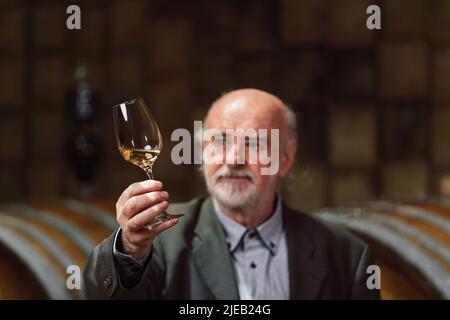 Leitender kaukasischer Mann mit Graubart, ein Weinkenner, der ein Glas hält und den Rotwein durch Anblick, Geruch und Geschmack analysiert Stockfoto