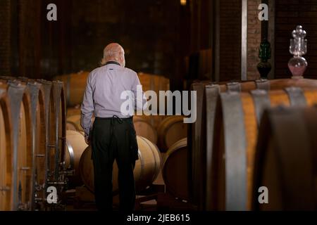 Leitender Winzer auf dem Weingut, der Fässer im Weinkeller überprüft. Stockfoto