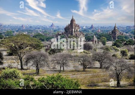 Burma, Bagan. Das Tal der Tempel, eine Stadt kolossaler Tempel, die über zweihundert Jahre lang (IX-XII) entlang des Irrawaddi-Flusses blühte Stockfoto