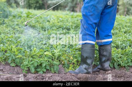 Ein Landwirt, der Insektizide auf seine Kartoffelernte anwendet. Der Einsatz von Chemikalien in der Landwirtschaft. Bekämpfung von Pilzinfektionen und Insekten. Ein Mann sprüht Schädlinge Stockfoto