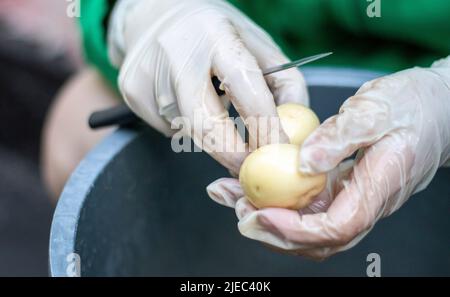 Die Hände der Frau in weißen Handschuhen schälen rohe neue Kartoffeln, Nahaufnahme. Reinigung von Bio-Kartoffeln. Detail der weiblichen Hände, die frische gelbe Kartoffel mit Kitc schälen Stockfoto