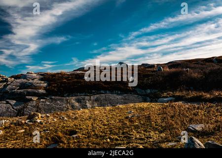 Leuchtturmweg bei peggys Cove Nova scotia Stockfoto