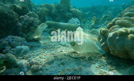 Rotes Meer, Ägypten. 26.. Juni 2022. Meeresboden mit wunderschönem Korallenriff, bedeckt mit Plastik und anderem Müll, Rotes Meer, Ägypten (Bild: © Andrey Nekrasov/ZUMA Press Wire) Stockfoto