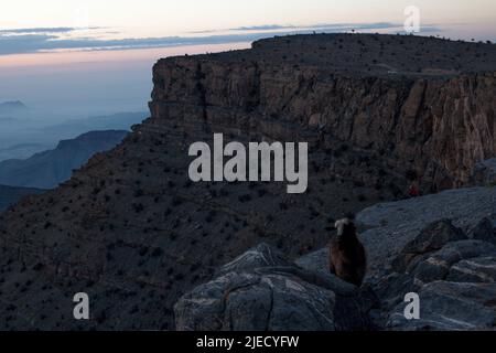 Am frühen Morgen am Rande des Grand Canyon von Oman bei Jebel Shams Stockfoto