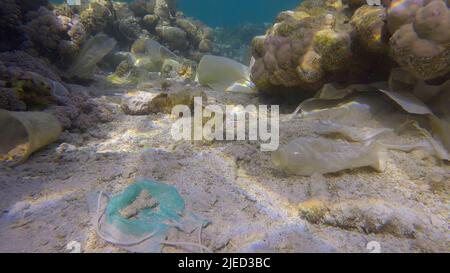 Rotes Meer, Ägypten. 26.. Juni 2022. Meeresboden mit wunderschönem Korallenriff, bedeckt mit Plastik und anderem Müll, Rotes Meer, Ägypten (Bild: © Andrey Nekrasov/ZUMA Press Wire) Stockfoto