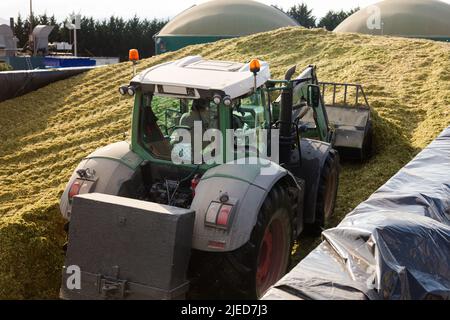 Gewinnung von Silage Stockfoto