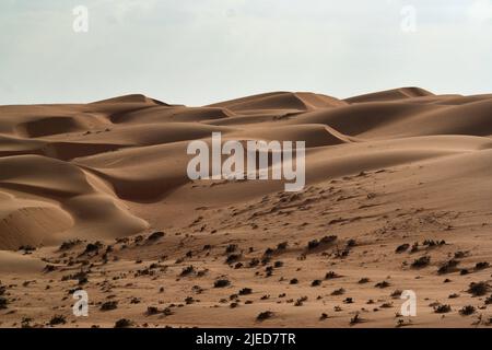 Spaziergang am späten Abend in der Wahiba Wüste, Oman Stockfoto