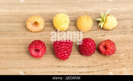 Gelbe (goldene) und rote Himbeeren zusammen auf Holzbrett. Draufsicht, Früchte Hintergrund. Stockfoto