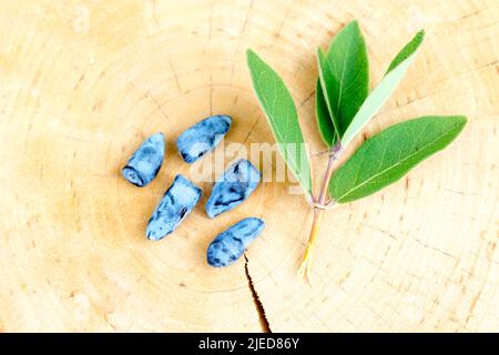 Honigbeere (Lonicera caerulea var. Kamtschatica), Nahaufnahme von Früchten mit Blättern auf einem Baumstumpf Stockfoto