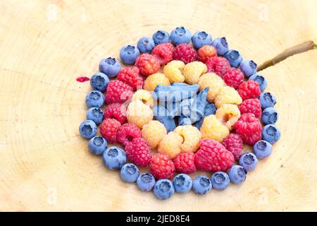 Gelbe (goldene) Himbeeren, Rote Himbeeren, Honigbeere (Lonicera caerulea var. Kamtschatica) und Heidelbeere (Vaccinium corymbosum) Frucht zusammen auf Stockfoto