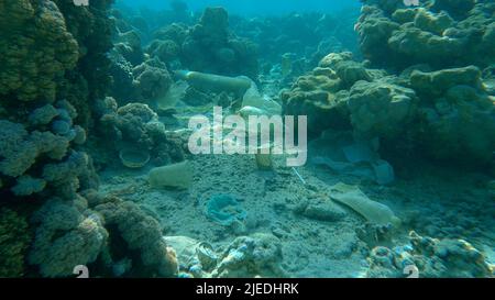Rotes Meer, Ägypten. 26.. Juni 2022. Meeresboden mit wunderschönem Korallenriff, bedeckt mit Plastik und anderem Müll, Rotes Meer, Ägypten (Bild: © Andrey Nekrasov/ZUMA Press Wire) Stockfoto