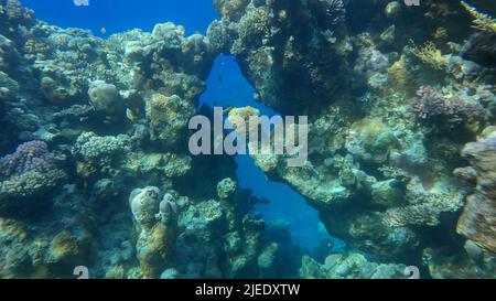 Rotes Meer, Ägypten. 26.. Juni 2022. Segeln durch einen Riss in einem Korallenriff. Sonnenstrahlen in einer wunderschönen Unterwasserschlucht im Roten Meer, Ägypten (Bild: © Andrey Nekrasov/ZUMA Press Wire) Stockfoto