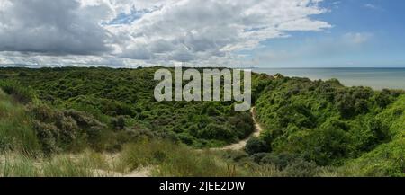 Panoramablick über die Dünenlandschaft an der Nordsee mit grüner Vegetation, Bray-Dunes, Frankreich Stockfoto