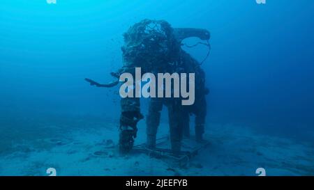Rotes Meer, Ägypten. 26.. Juni 2022. Skulptur eines Elefanten auf dem Meeresboden. Leuchtturm Tauchplatz, Rotes Meer, Dahab, Ägypten (Foto: © Andrey Nekrasov/ZUMA Press Wire) Stockfoto
