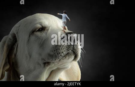 Kleiner Junge auf der Hundenase Stockfoto