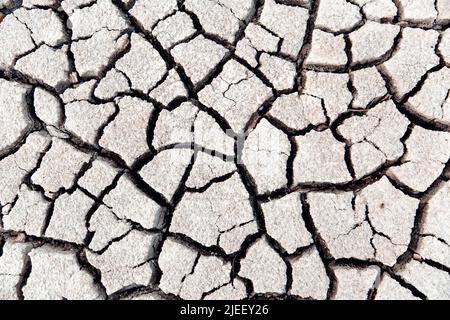 Konzept der globalen Erwärmung . Trockene Risse im Land, schwere Wasserknappheit. Trockenheitskonzept. Stockfoto