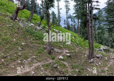 Wanderweg in den Bergen des Kumrat-Tals Stockfoto