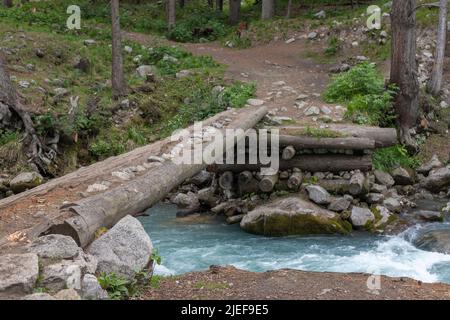 Wanderweg im Kumrat-Wald mit einem Baumstamm als Brücke über den Fluss Panjkora Stockfoto