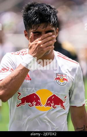 Der New Yorker Red Bulls-Mittelfeldspieler Omir Fernandez (21) reagiert auf die Hitze während eines MLS-Spiels gegen den FC Los Angeles am Sonntag, den 26. Juni 2022, bei der Banc Stockfoto