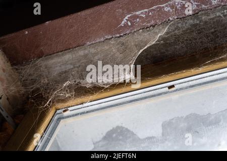 Kunststofffenster auf einer verlassenen Baustelle in einem Spinnennetz Stockfoto