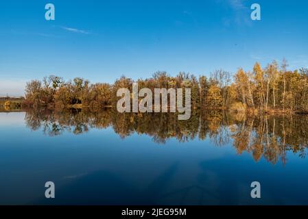 Teich mit bunten Bäumen rund während des Herbsttages mit klarem Himmel in Karvina Stadt in der Tschechischen republik Stockfoto