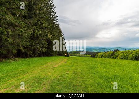 Wenige Hikres auf Bergwiese mit Hügeln auf dem Hintergrund unten Heiliger vrch-Gipfel in Galle Karpaty Berge in der Tschechischen republik Stockfoto