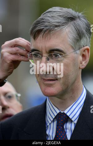 Jacob Rees-Mogg (Con: N E Somerset) Staatsminister für Brexit-Chancen - in Westminster hat er einen Hörer für ein Interview vor einem... Stockfoto