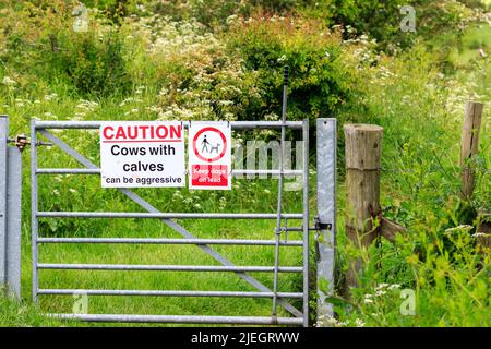 Metallfußweg Tor mit einem Warnschild Warnung vor Kühen mit Kalb und halten Hunde an der Leine Stockfoto