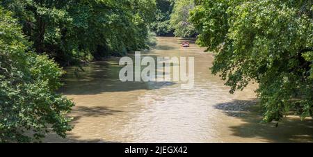 Griechenland. Tale of Tempi, Thessalien. Pineios River braunes Wasser fließt, große grüne Bäume am Ufer, Blick von oben Stockfoto