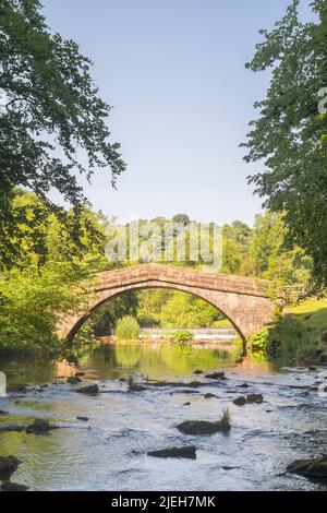 Die denkmalgeschützte St Bertrams Bridge über den Flusskrümmer in Ilam, Staffordshire, England, Großbritannien Stockfoto