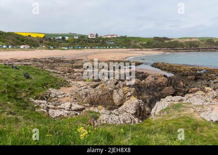 Coldingham Bay, Berwickshire, Schottland Stockfoto