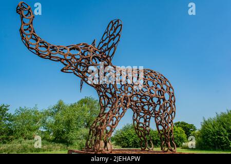 Metallskulpturen, die bei den British Iron Works in Oswestry Shropshire basieren. Es gibt Löwen, Tiger, Elefanten, Pfauen, Zebras usw. Stockfoto