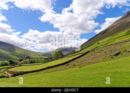 Der erhöhte Blick auf Wasdale Head an einem sonnigen Sommertag, Lake District Cumbria England Stockfoto