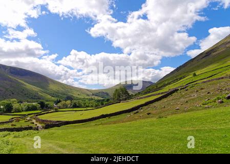 Der erhöhte Blick auf Wasdale Head an einem sonnigen Sommertag, Lake District Cumbria England Stockfoto