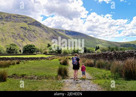 Rückansicht einer Mutter und eines jungen Sohnes, die an einem sonnigen Sommertag über einen kleinen Bach in Wasdale Head wandern Lake District Cumbria England Stockfoto