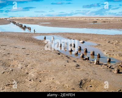 Blick auf die verwitterten Groynestangen am deutschen Nordseestrand in Ostfriesland bei Ebbe und bewölktem Himmel. Stockfoto