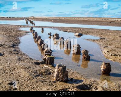 Blick auf die verwitterten Groynestangen am deutschen Nordseestrand in Ostfriesland bei Ebbe und bewölktem Himmel. Stockfoto