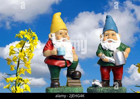 Gartenzwerg, Gartenzwerge, zwei, stehen im Garten, Graslandschaft, blauer Himmel, Schrebergarten, Dekoration, Garten, Märchenfigur, Fabelwesen, Zwerg, Stockfoto