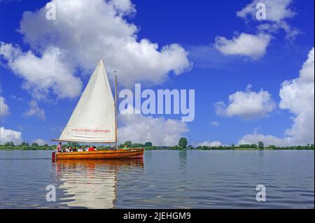 Segelboote auf dem Dümmer See Stockfoto