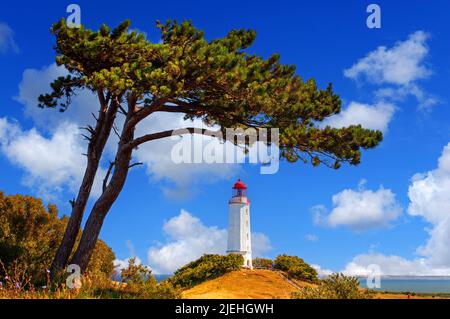 Deutschland, Mecklenburg-Vorpommern, Hiddensee, Dornbusch, Leuchtturm, Insel, Insel Hiddensee, Leuchtfeuer Dornbusch / Hiddensee, Ostsee, Stockfoto